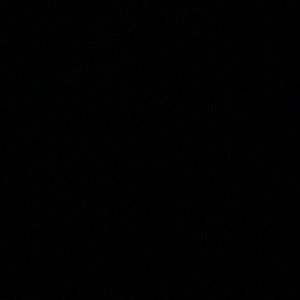 Meet your Posher, Sophie